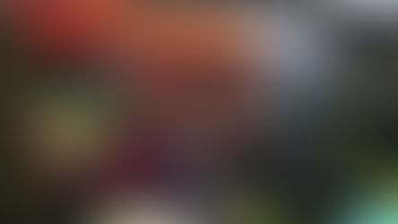 RENOVATING TILLY TELSTAR Our Vintage Caravan