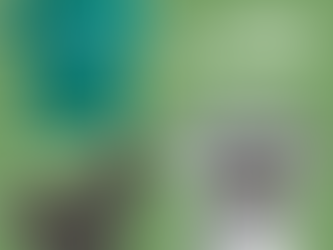 Youth Clothing Deals on My Poshmark – Shop Affordable, Quality Items!