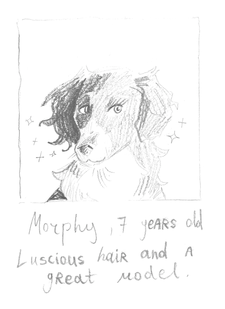 3.Morphy