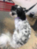 image14.jpeg