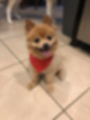 bruno 2.jpg