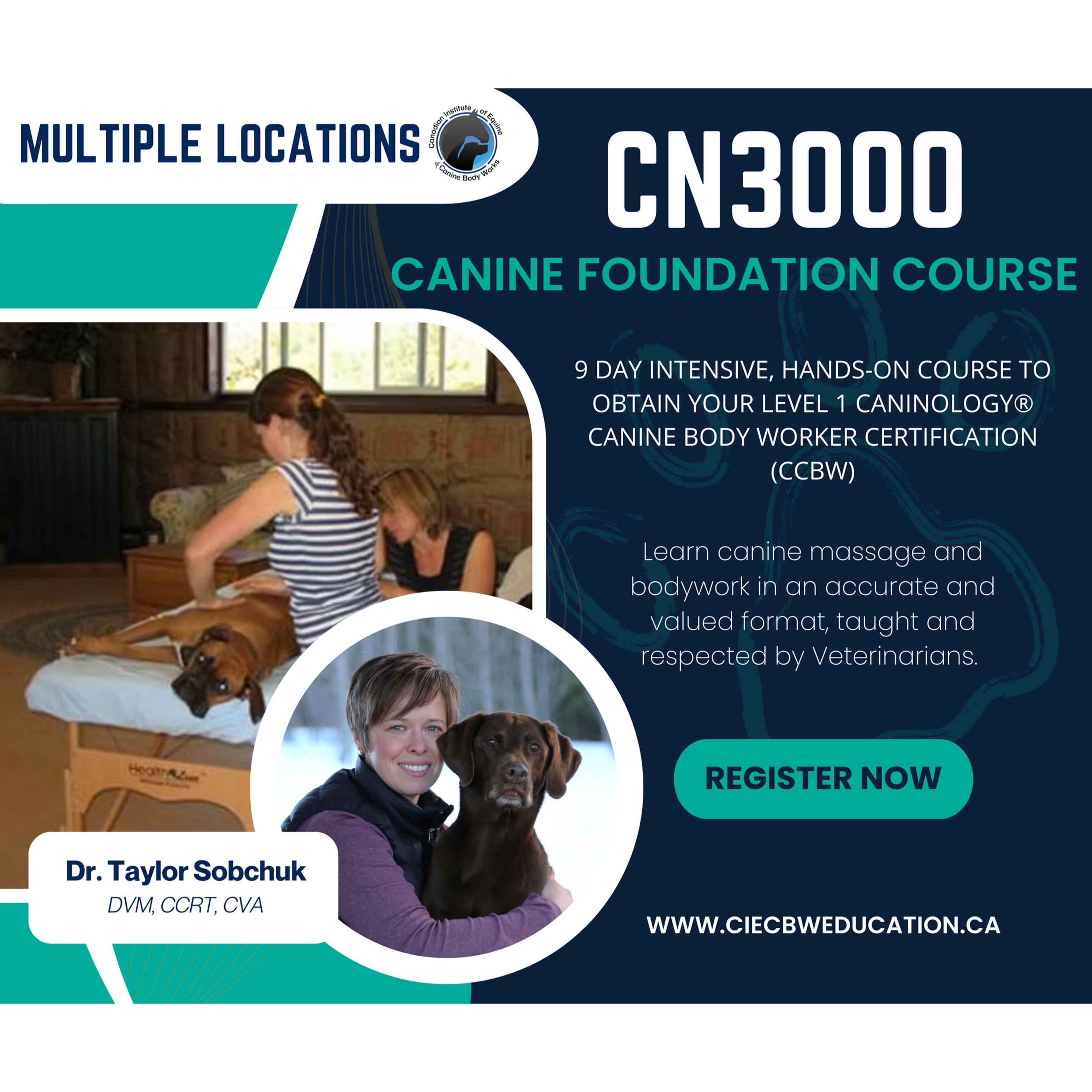 CN3000: Caninology® Canine Body Worker Certification Course