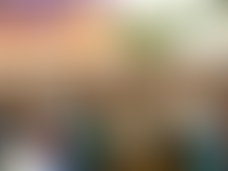 The folly in imposing socially conservative values on pluralistic societies