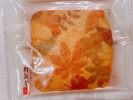 11/8 練習報告