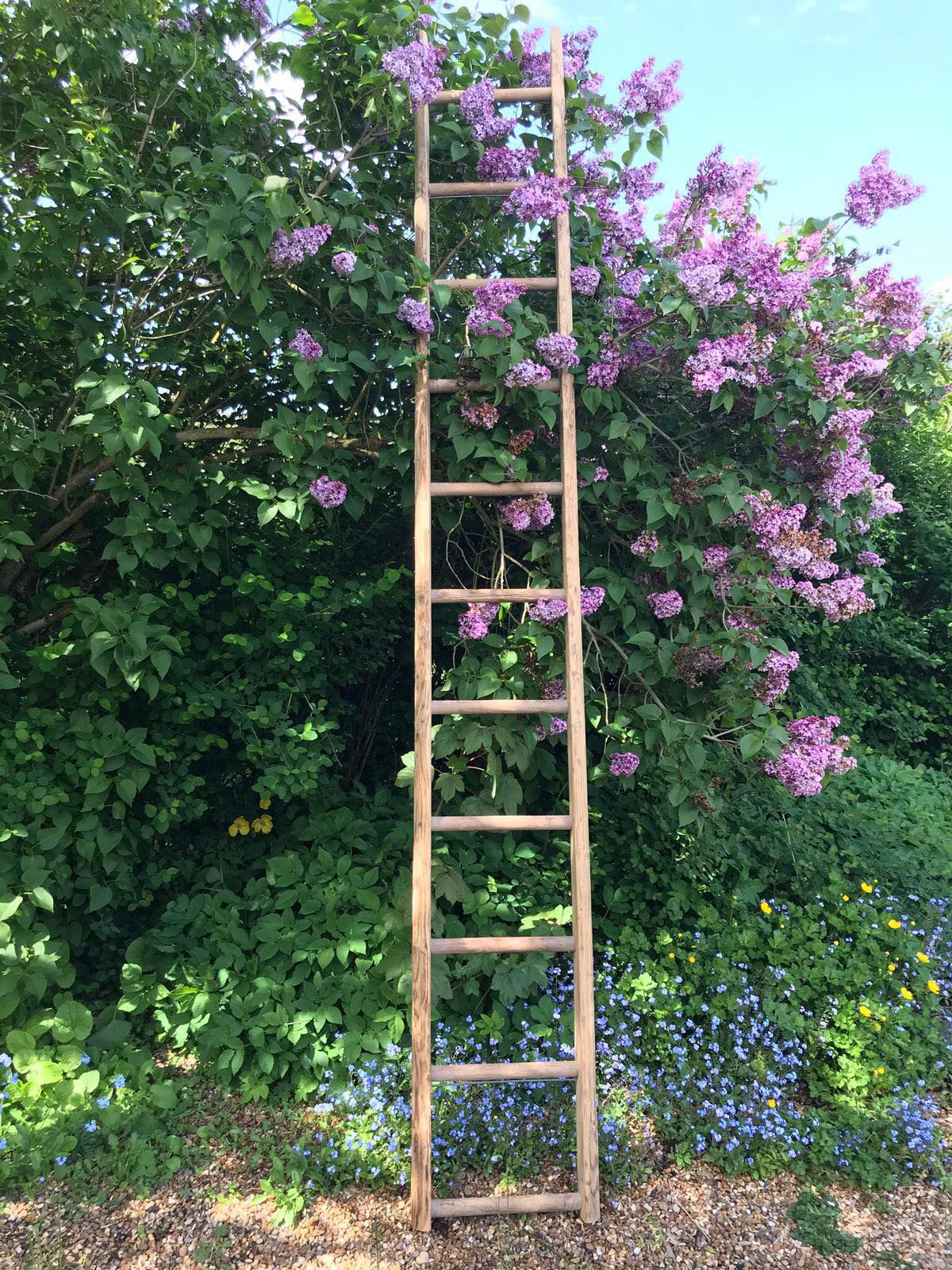 Large Vintage French Ladder