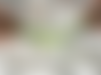 Aloe Vera für Narben: Natürliche Pflege mit Aloe Vera und E-Öl