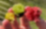 F052D88B-AC95-4E69-8123-449891954EAC.JPG