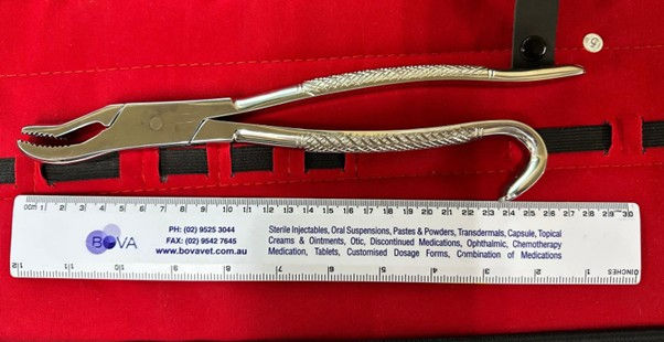 Thumbnail: Incisor Canine Extraction Set