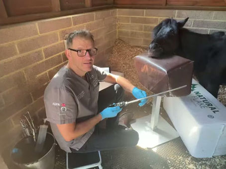 HOW TO: Use your WDE Pro Oroscope
