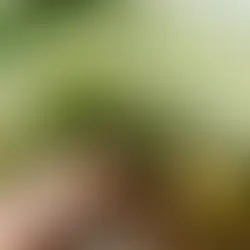 Revealing the top 5 best spas in Hoi An: Where you are pampered and cherished