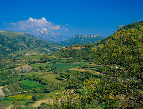 Scene of Crete landscape, Amari Valley