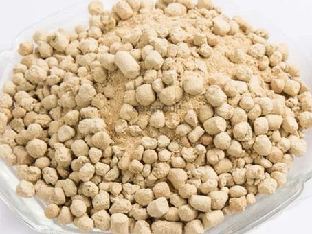 De Oiled Rice Bran (DORB): The Nutritional Powerhouse You've Been Overlooking