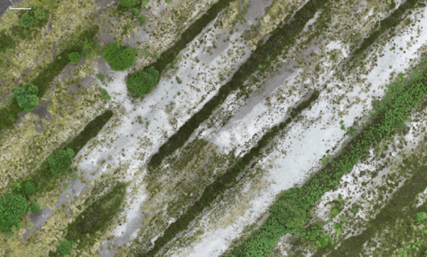 Blackwater Bog