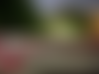 Can’t Stop Won’t Stop //Συνθήματα και Γκράφιτι στο Χαλάνδρι // Χειμώνας 2025-26