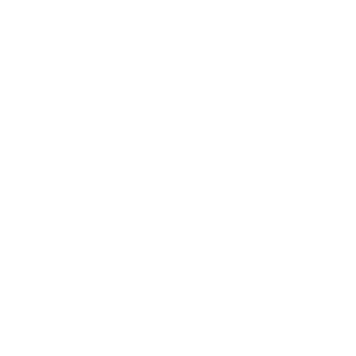 sg printig website icon.png