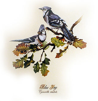 Watercolor, Sumi ink handlettering and 23.34kt gold leaf on Arches paper, 16_x16.jpeg