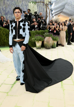 Met Gala 2026 red carpet look under the 'Fashion is Art' theme at the Metropolitan Museum of Art in