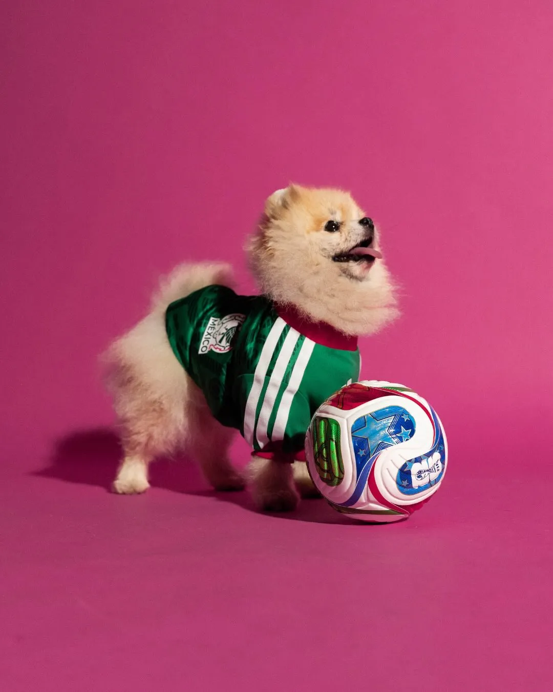 adidas pet new collection
