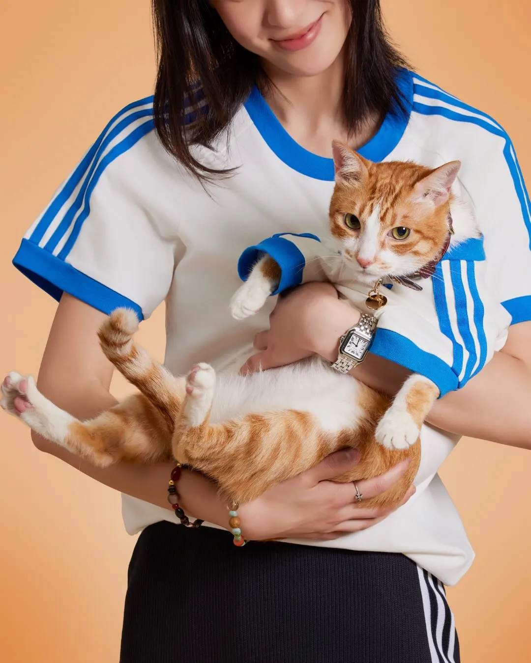 adidas pet new collection