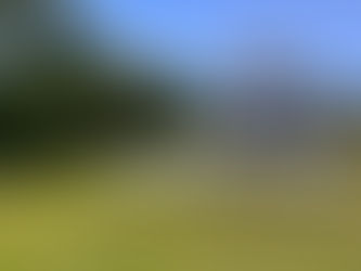 Affordable Wedding Planning Tips for Brides and Grooms at Agape Acres Barn