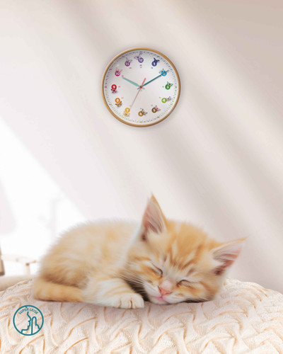 Schmetterlinge Lernuhr für Kinder Rainbowatch® Wanduhr