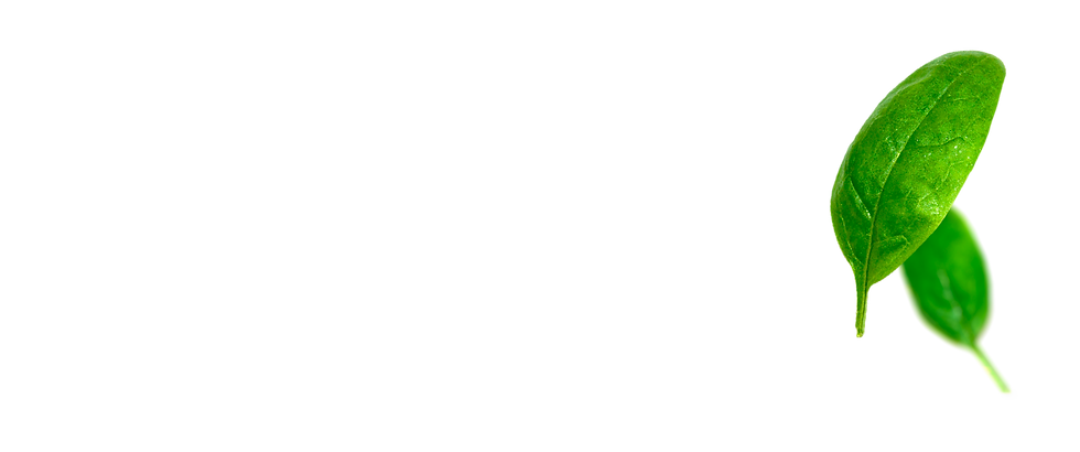 scrollleafs.png