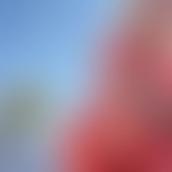 Tanker ved gravstedet