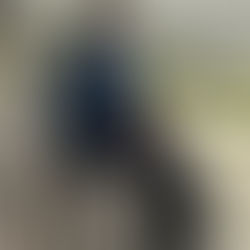 Alt det som ingen ser