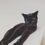 IMG_6156 2_edited.jpg