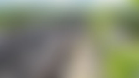 Ruinas del exconvento de Copanaguastla: testimonio vivo del Chiapas colonial