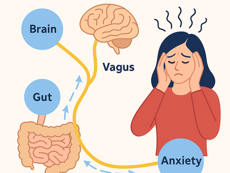 The Vagus Nerve and Anxiety: What Your Gut is Telling Your Brain