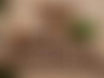 Afíliate con ParaZap: Venta de antiparasitarios y cuidado animal