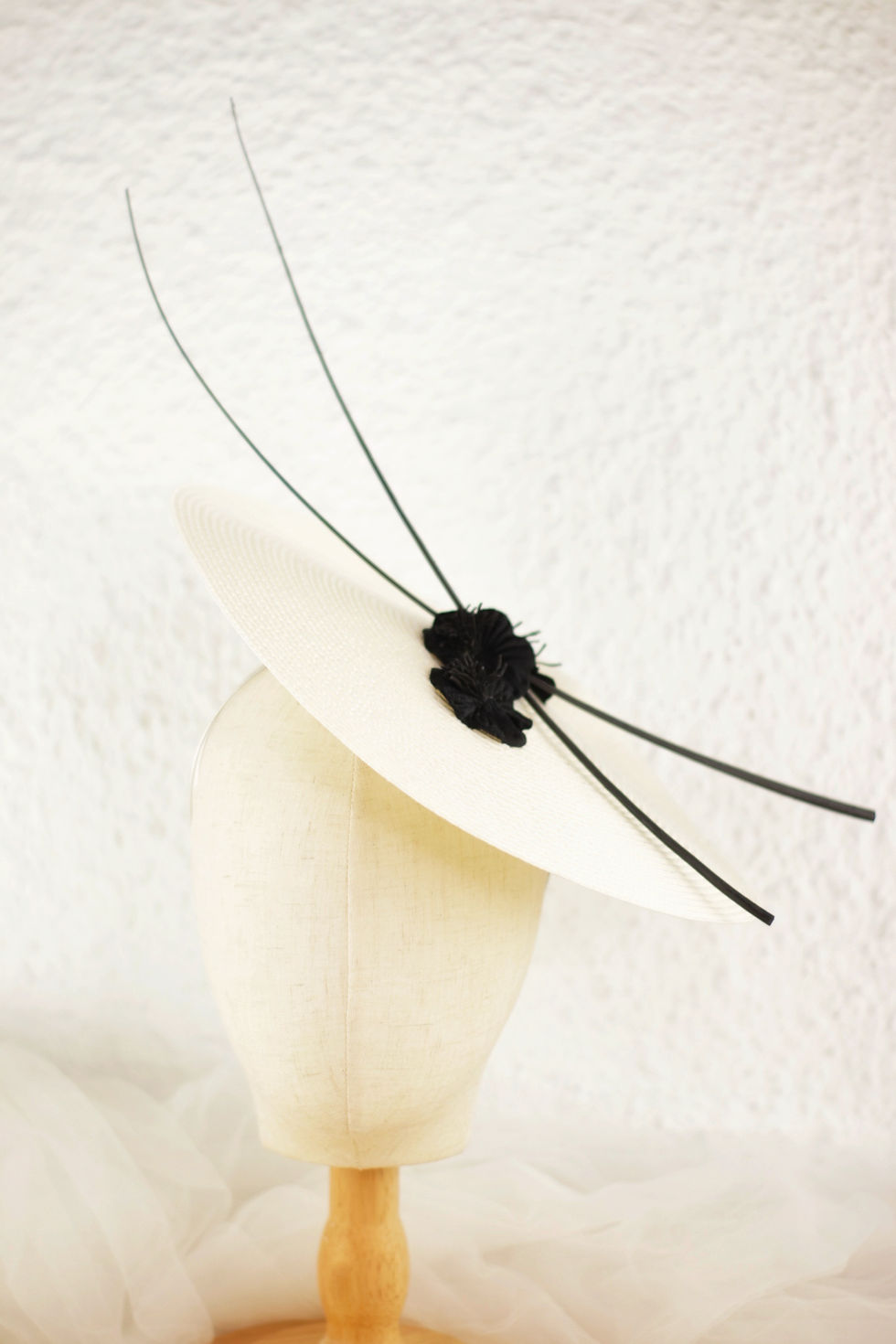 Miniatura: Base disco blanca y raquis negros