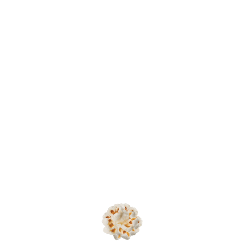 Untitled-1.gif