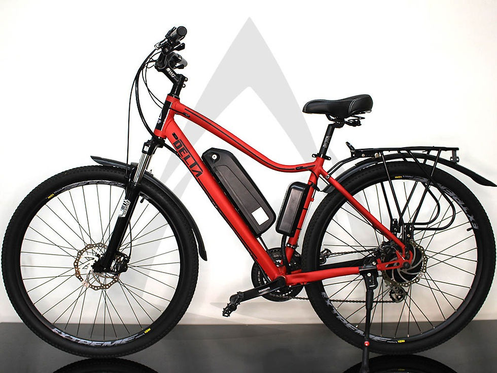 Miniatura: SERIE 2950H