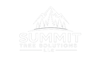 Business Logo.png