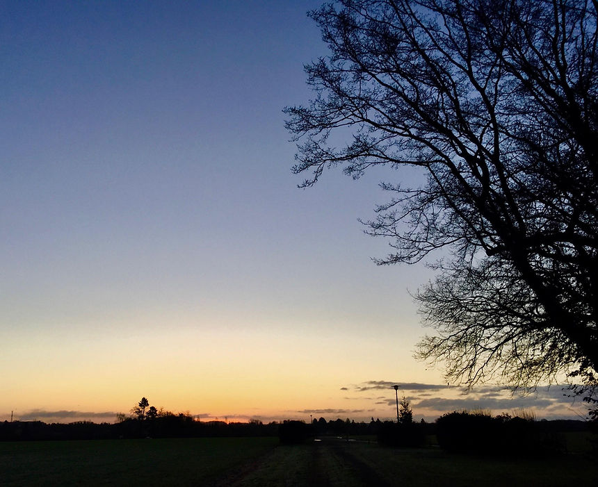 IMG_2840 - copie.jpg