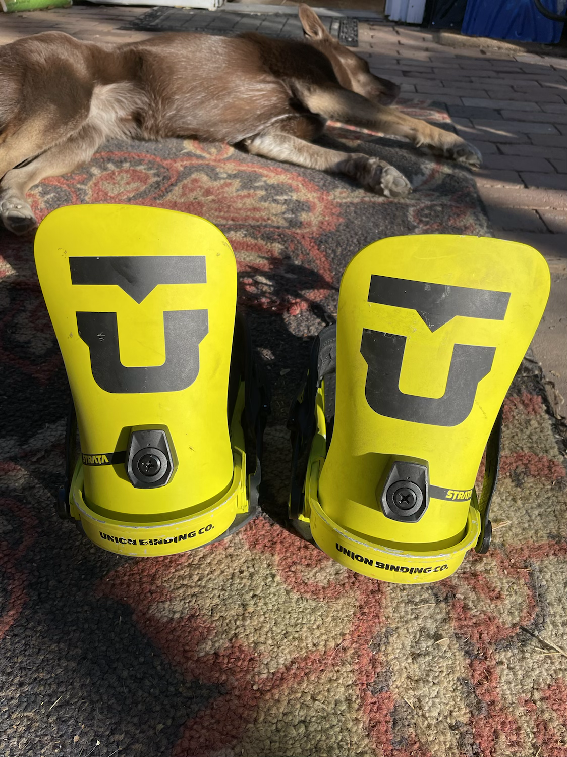 Union Strata binding size L