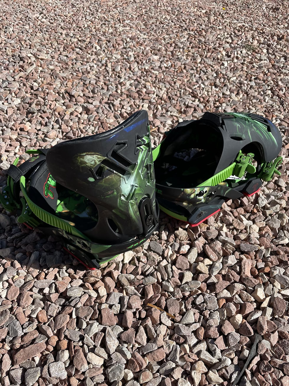 Thumbnail: Technine Lucas Magoon “turtles” size L