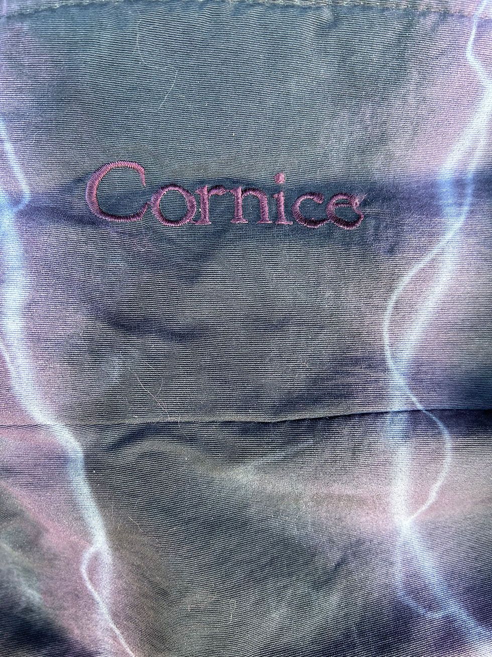 Thumbnail: 90s Columbia jacket men’s L - airbrush by Travis Spinks 