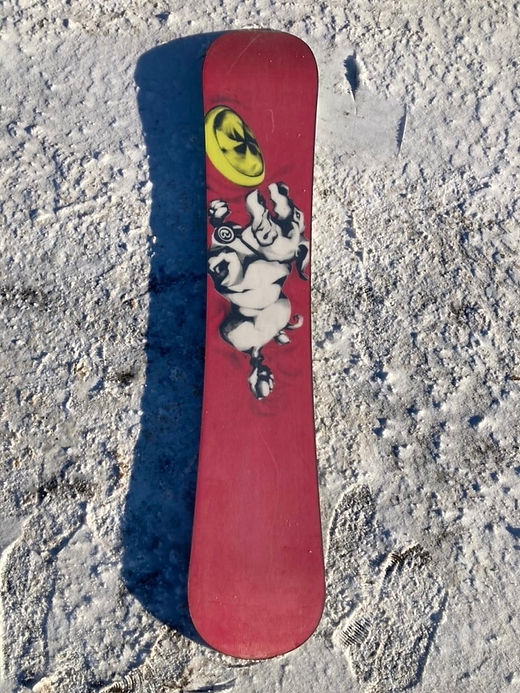 BURTON FREEDOM