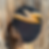 Thumbnail: Y2K Volcom lid 