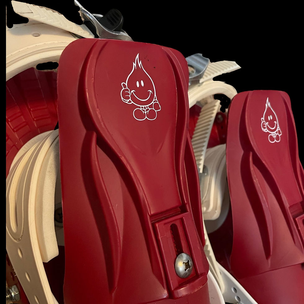 Thumbnail: World Industries bindings size M/L