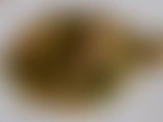 Revuelto de Ajetes, Trigueros y Gambas