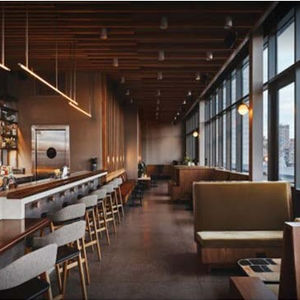 Bowery Hotel Rooftop Bar Renovation