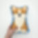 Dog Sewing Kit - Corgi