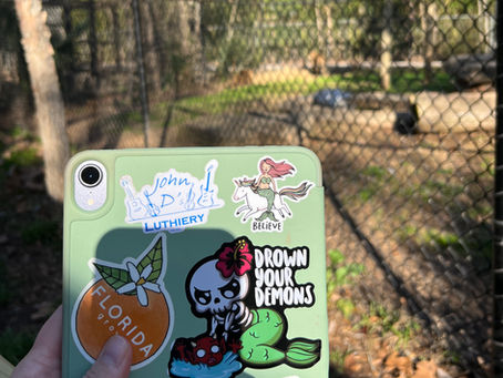 Kindles in the Wild – Rule Breaker – Lora Leigh – Alexandria Zoo – February 2, 2024