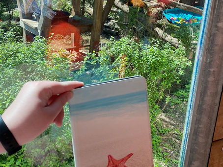 Kindles in the Wild – Shifter Village – C.D. Gorri – May 29, 2022 – Seneca Park Zoo