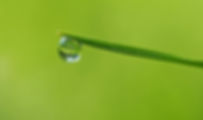Mindful watching
