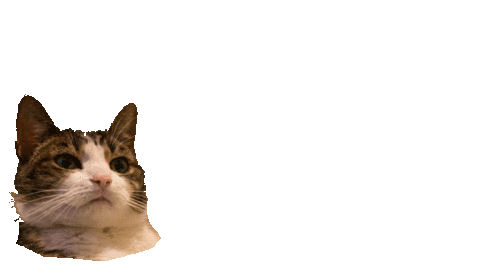 giphy.gif